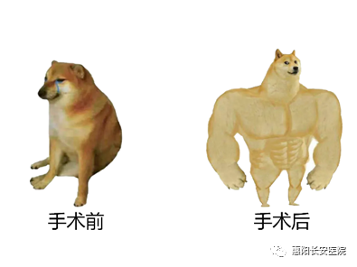 微信图片_20231030143824.png