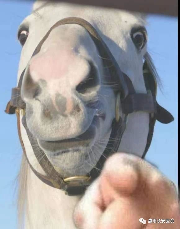 1698743238199649.jpg 微信图片_20231031165827.jpg