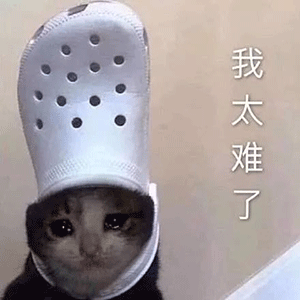 微信图片_20231031173047.gif