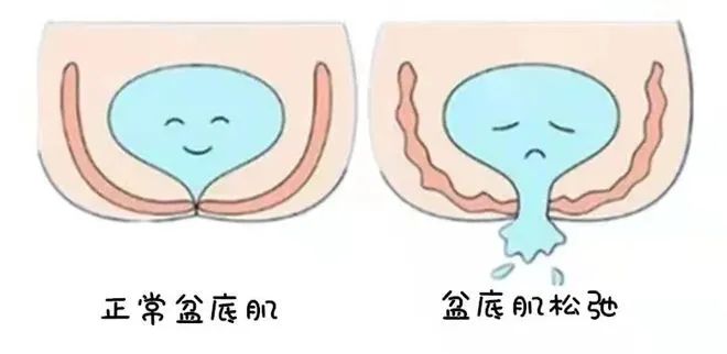 1700190689650405.jpg 微信图片_20231117110604.jpg