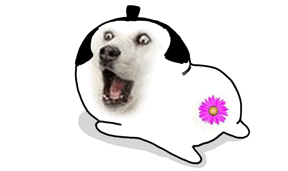微信图片_20231126224025.gif