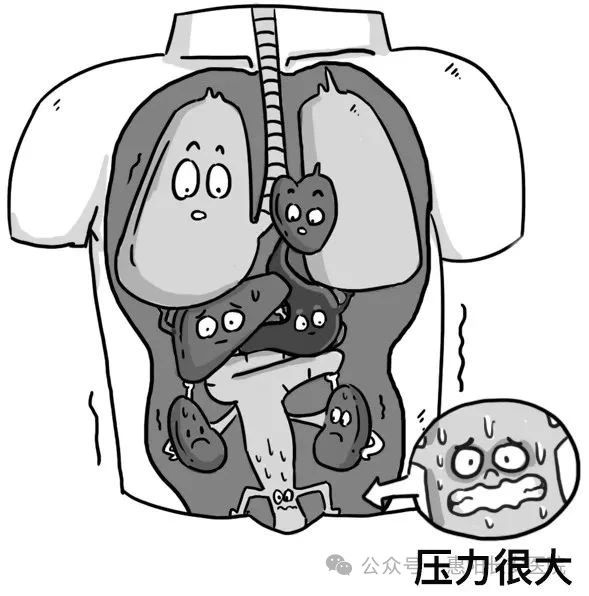微信图片_20240124142917.jpg
